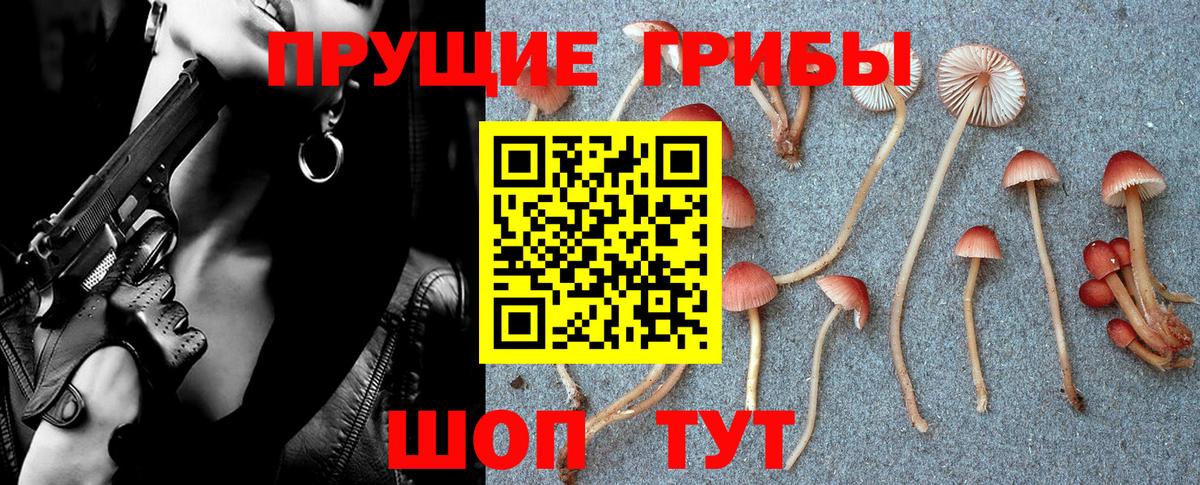 Марихуана  Малоярославец  Каннабис  Лсд 25  Купить наркотик  Меф   Кокаин  Вход с VPN  A PVP СОЛЬ кристаллы 