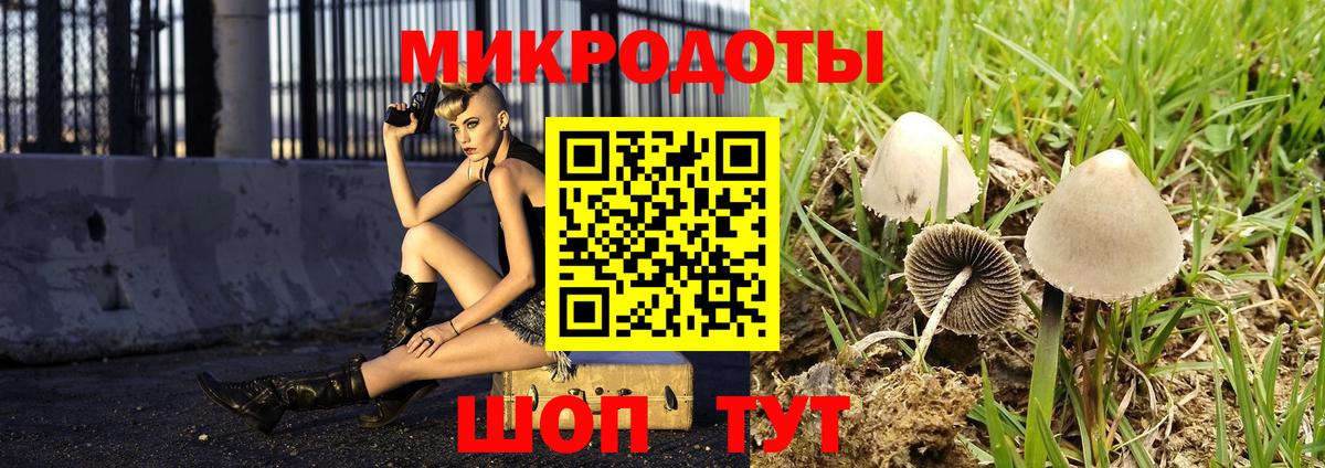 Псилоцибиновые грибы MAGIC MUSHROOMS Малоярославец